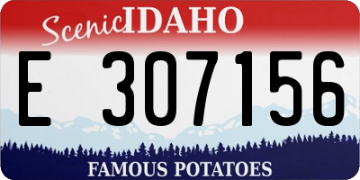 ID license plate E307156