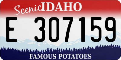 ID license plate E307159