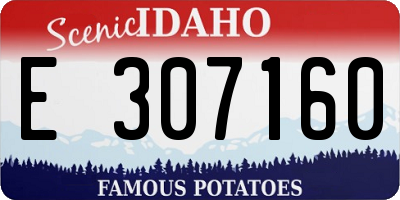 ID license plate E307160