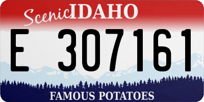 ID license plate E307161