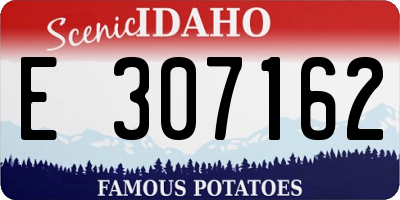 ID license plate E307162