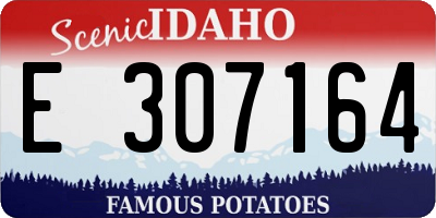 ID license plate E307164