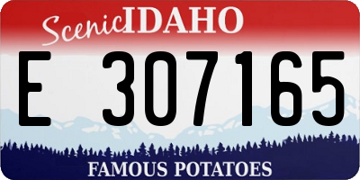 ID license plate E307165