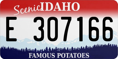 ID license plate E307166