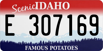 ID license plate E307169