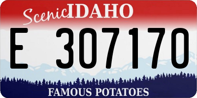 ID license plate E307170