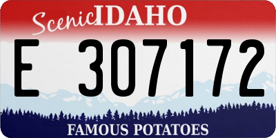 ID license plate E307172