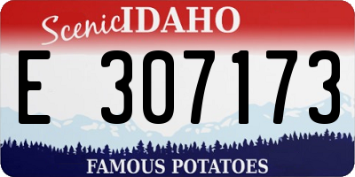 ID license plate E307173