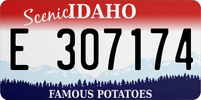 ID license plate E307174