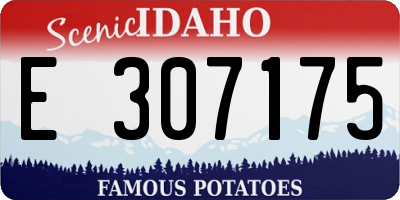 ID license plate E307175