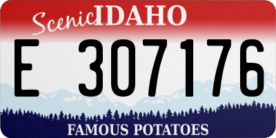 ID license plate E307176