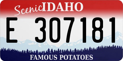 ID license plate E307181