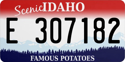 ID license plate E307182