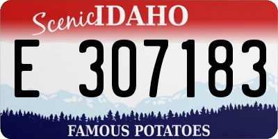 ID license plate E307183