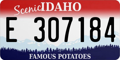 ID license plate E307184