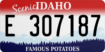 ID license plate E307187