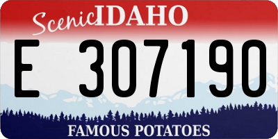 ID license plate E307190
