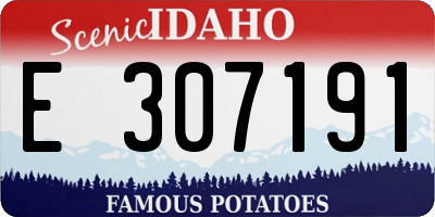 ID license plate E307191