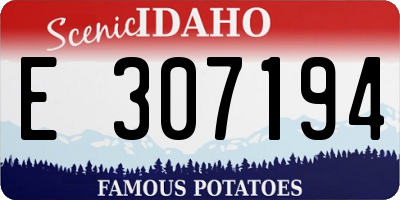 ID license plate E307194