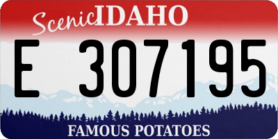 ID license plate E307195