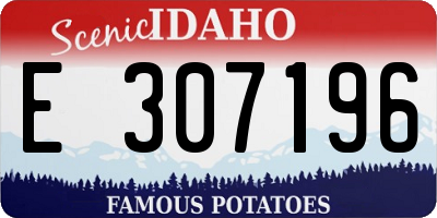 ID license plate E307196