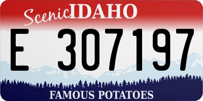 ID license plate E307197