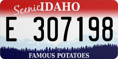 ID license plate E307198