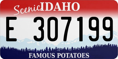 ID license plate E307199