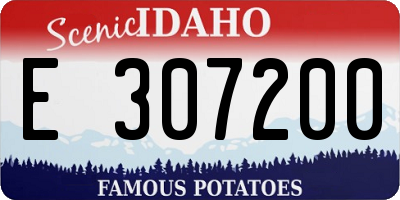 ID license plate E307200