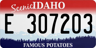 ID license plate E307203