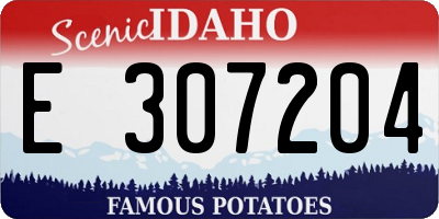 ID license plate E307204