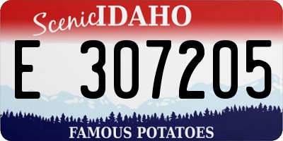 ID license plate E307205