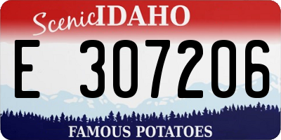 ID license plate E307206