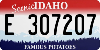 ID license plate E307207
