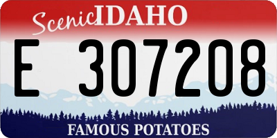 ID license plate E307208
