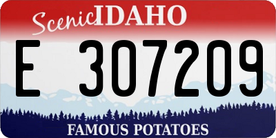 ID license plate E307209