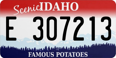 ID license plate E307213