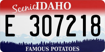 ID license plate E307218