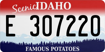 ID license plate E307220