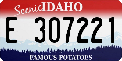 ID license plate E307221