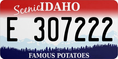 ID license plate E307222
