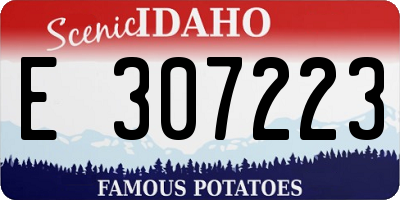 ID license plate E307223