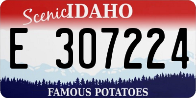 ID license plate E307224