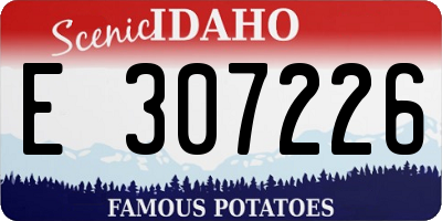 ID license plate E307226