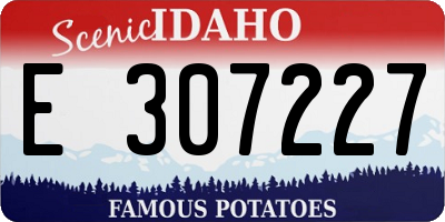 ID license plate E307227