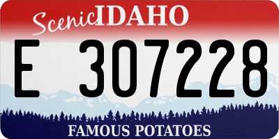 ID license plate E307228