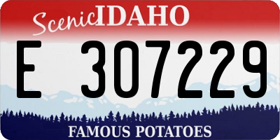 ID license plate E307229