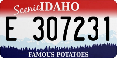 ID license plate E307231