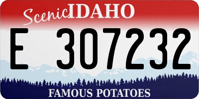 ID license plate E307232
