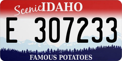 ID license plate E307233